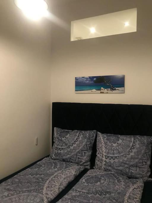 Klimatisierte Sehr Zentrale Wohnung-Loftstyle- Βιέννη Εξωτερικό φωτογραφία