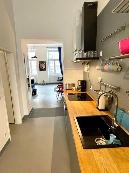 Klimatisierte Sehr Zentrale Wohnung-Loftstyle- Βιέννη Εξωτερικό φωτογραφία